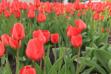 Similar image 143915