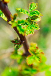 Similar image 143925