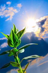 Similar image 143926