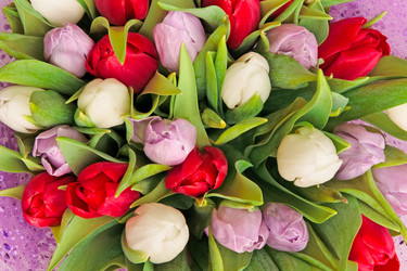 Similar image 143927