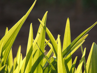 Similar image 143935