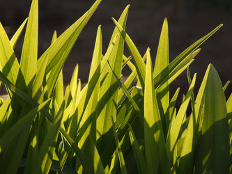 Similar image 143936