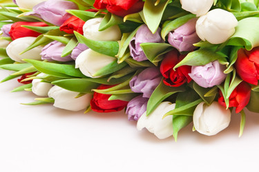 Similar image 143951