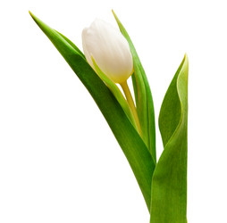 Similar image 143952