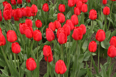 Similar image 143972