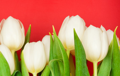 Similar image 143991