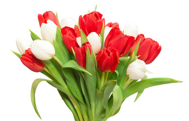 Similar image 143993