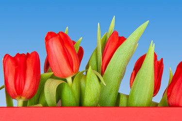 Similar image 143997