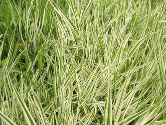 Similar image 144010