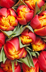 Similar image 144027