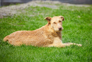 Similar image 144029