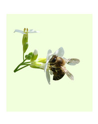 Similar image 144048