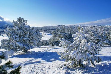 Similar image 144049