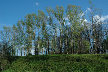 Similar image 144076