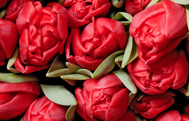 Similar image 144085