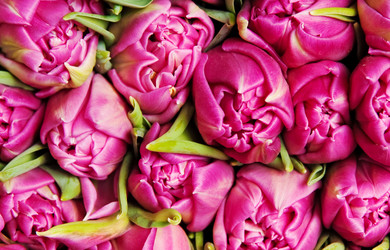 Similar image 144092