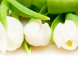 Similar image 144095