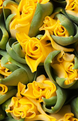 Similar image 144096