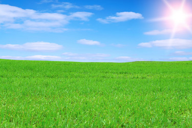 Similar image 144101