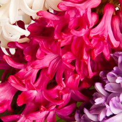 Similar image 144122