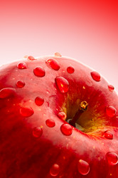 Similar image 144132