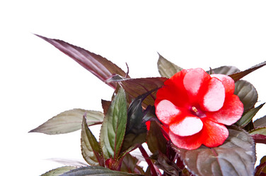 Similar image 144133