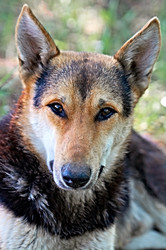 Similar image 144134