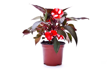 Similar image 144135