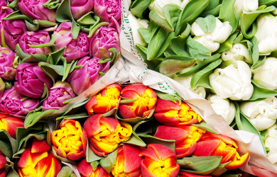 Similar image 144158