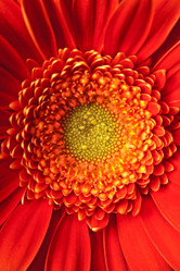 Similar image 144159