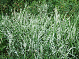 Similar image 144168