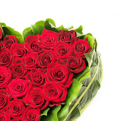 Similar image 144170