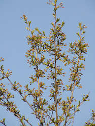 Similar image 144176