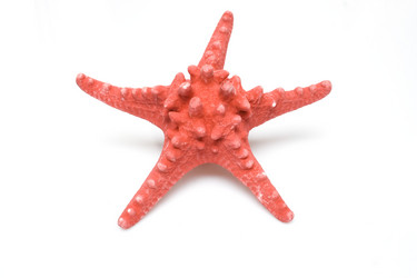 Similar image 144188