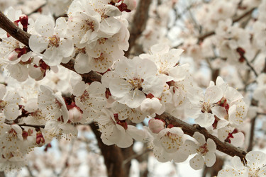 Similar image 144195