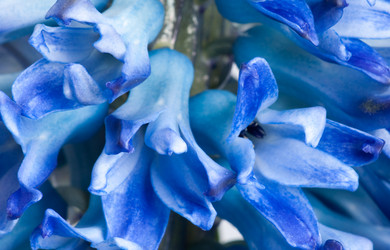 Similar image 144201