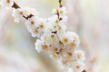 Similar image 144202