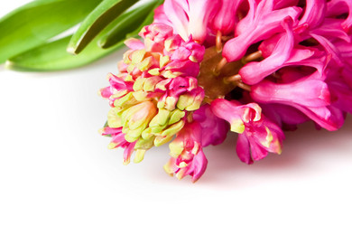 Similar image 144212