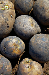 Similar image 144253