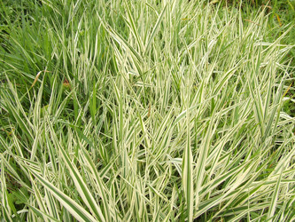 Similar image 144287