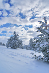 Similar image 144296