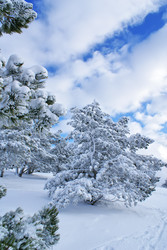 Similar image 144297