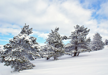 Similar image 144298