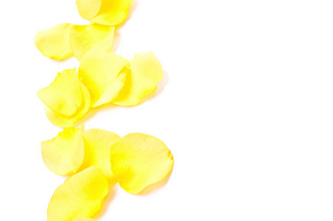 Similar image 144303