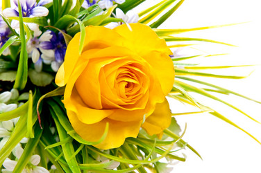 Similar image 144305