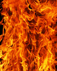 Similar image 144328