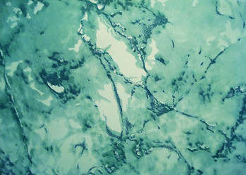 Similar image 144330