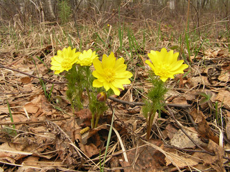 Similar image 144348