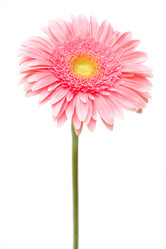 Similar image 144368