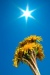 Similar image 144378